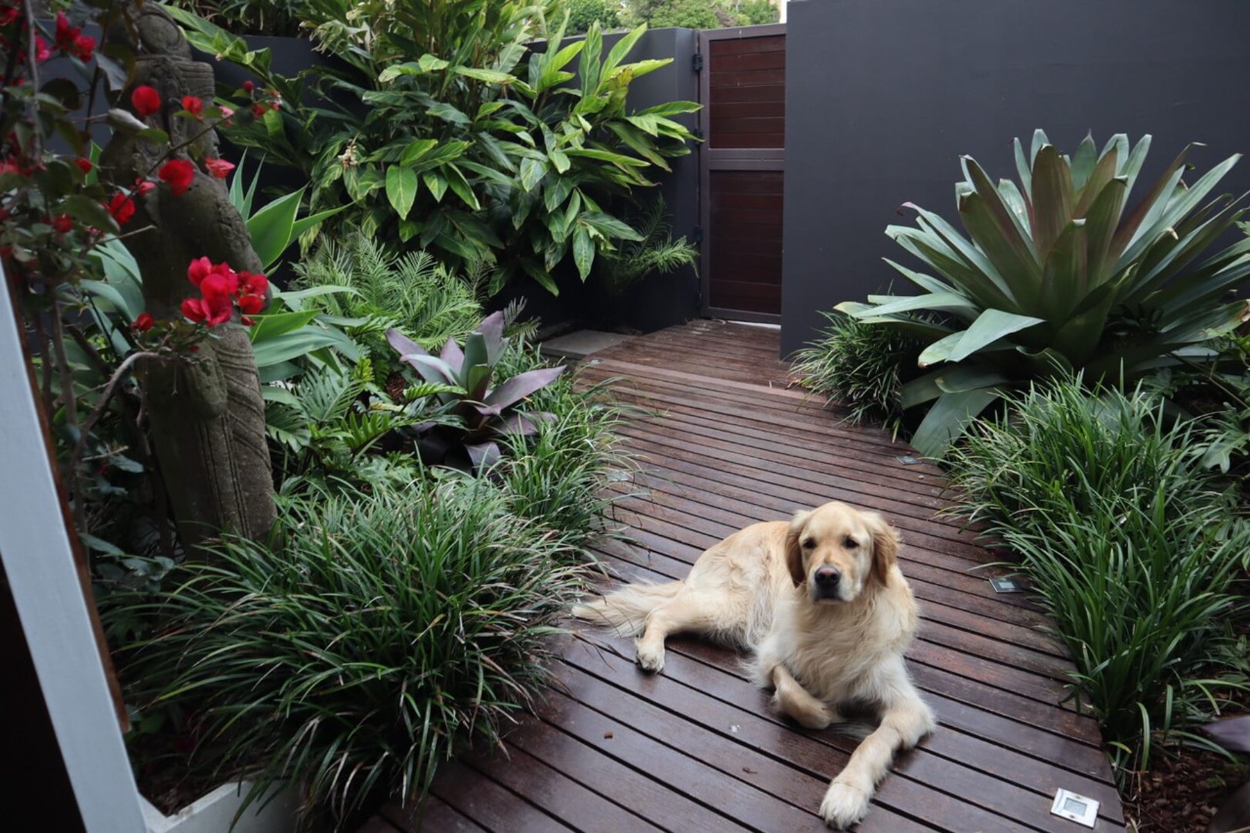tropical paradise for our appreciative clients - young, old and 4-legged!