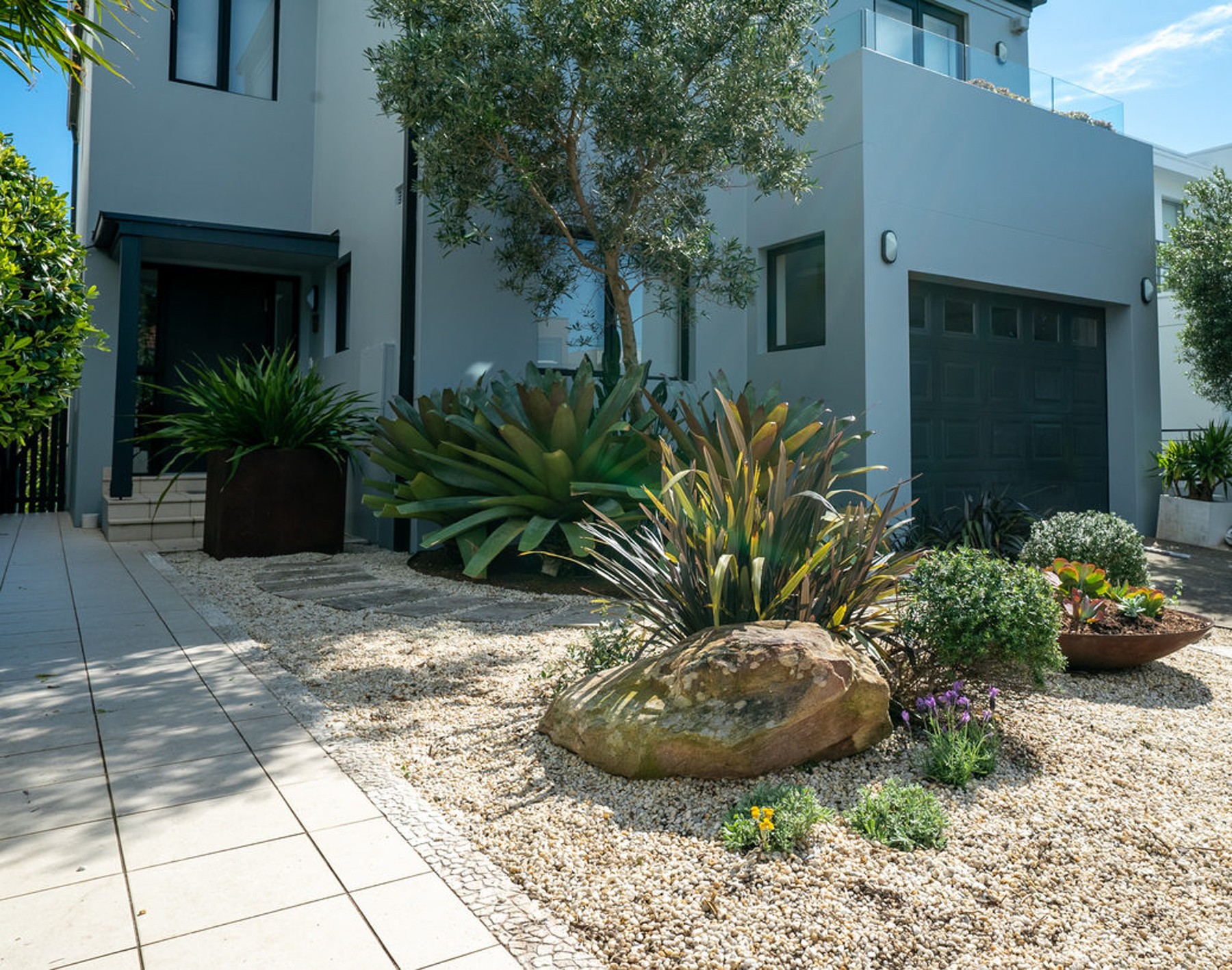 Japanese inspired, water-wise front garden in Dover Heights