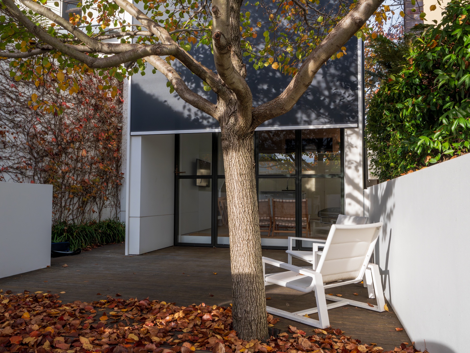 Regent Street, Paddington-5 Quiet performance for a refined architectural home